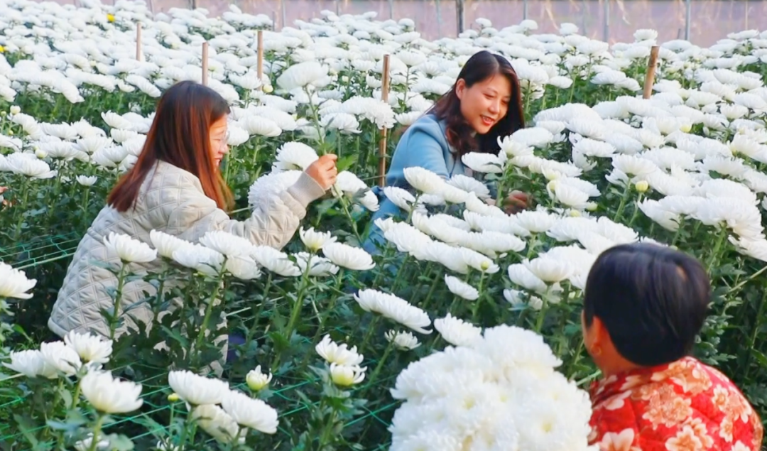 �F�ǅ^(q��)���ջ������M�ء���