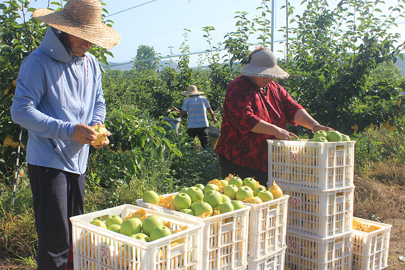 ��ó������Ѕ^(q��)ǰ�����@�����@���������ˣ�