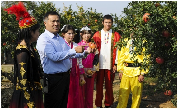 ���f��Ѧ�ǅ^(q��)���f�M���_չ�����l(xi��ng)�����d ���L���